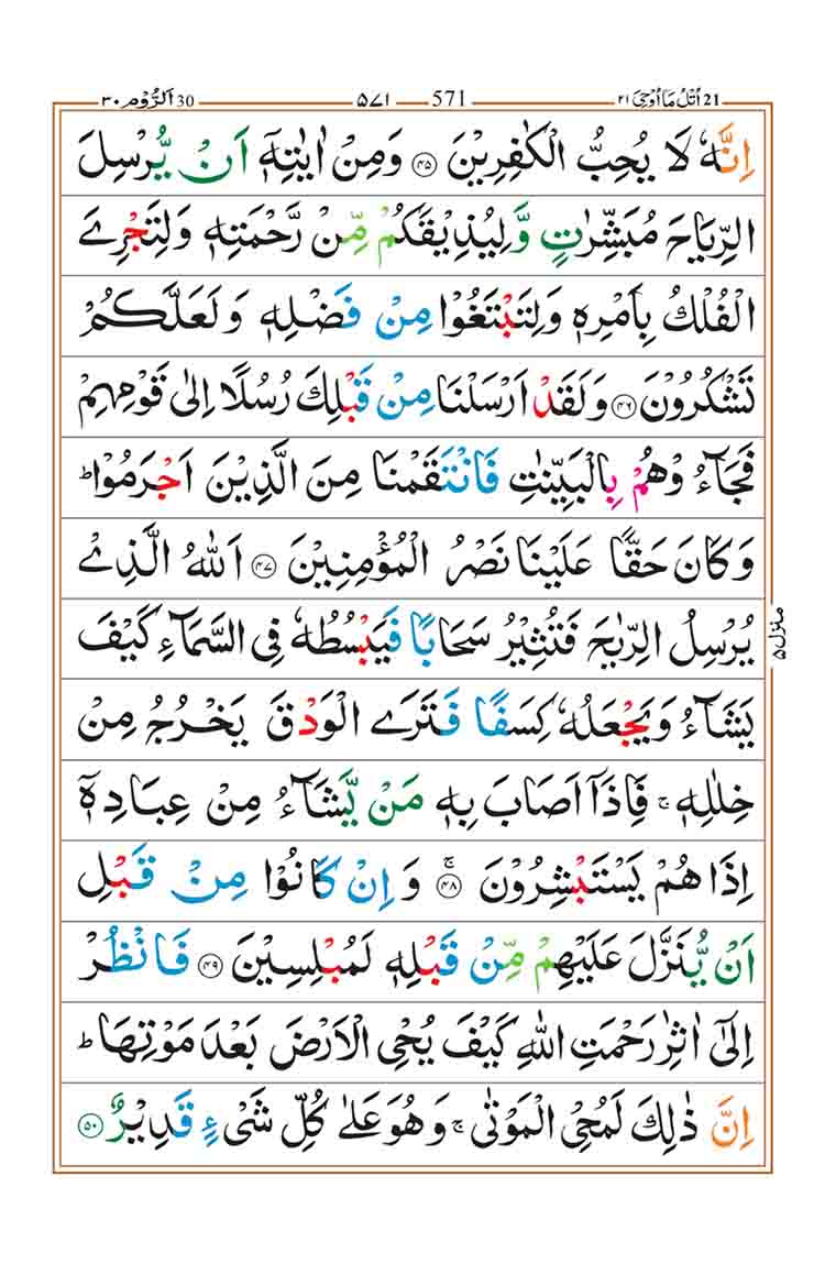 surah-ar-rum-page-8